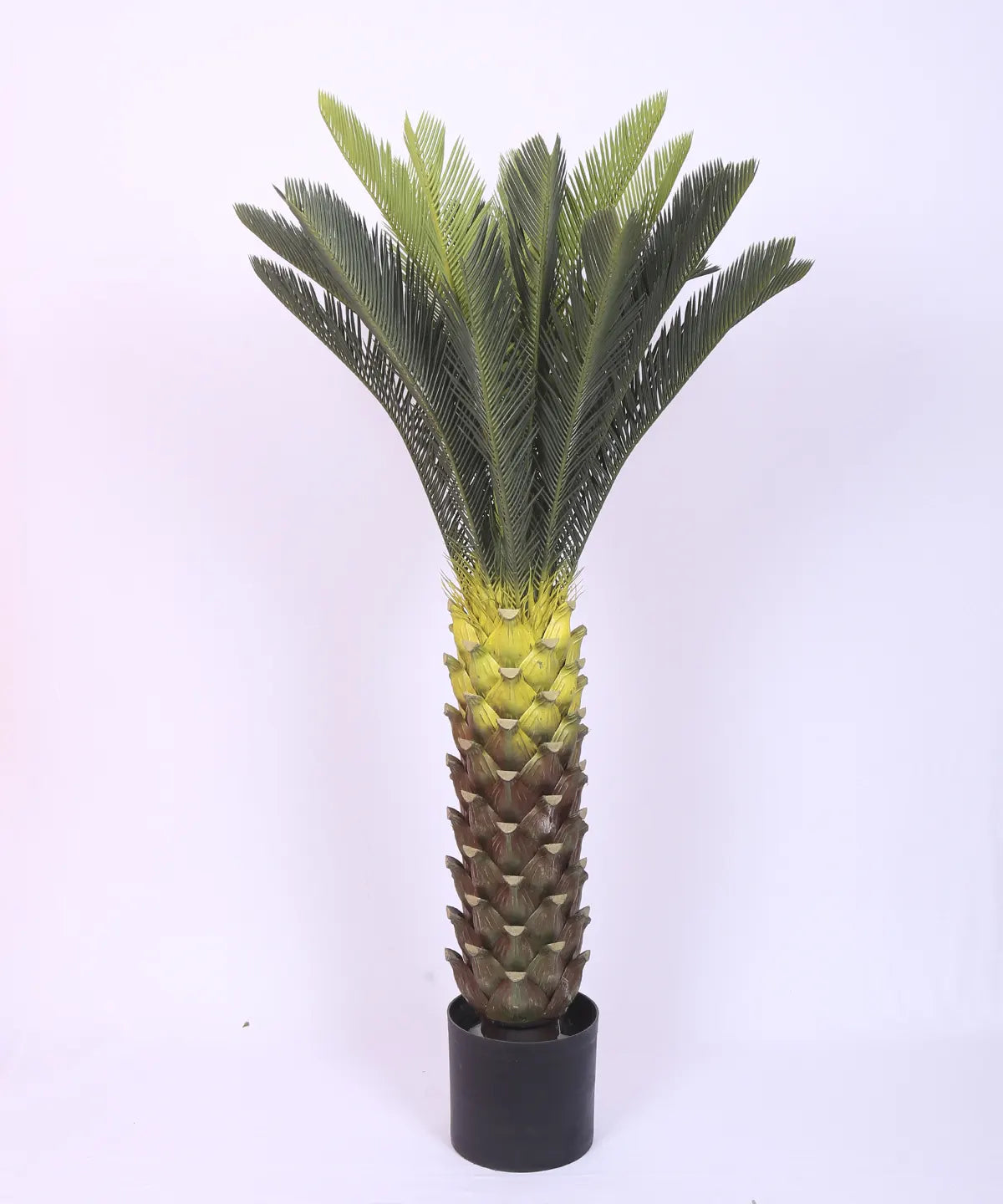 Artificial Cycus Plant with Long Leaves for with Basic Black Pot - 4.2 Feet Green