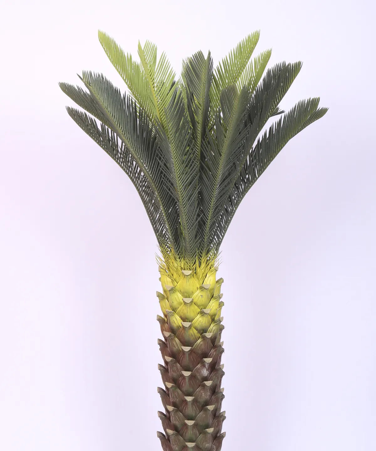 Artificial Cycus Plant with Long Leaves for with Basic Black Pot - 4.2 Feet Green