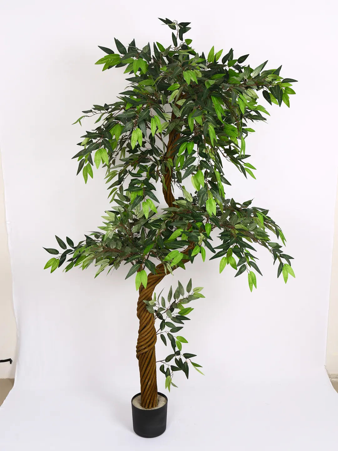 Artificial Midas Ruscus Lush Plant with Basic Black Pot - 6 Feet Tall