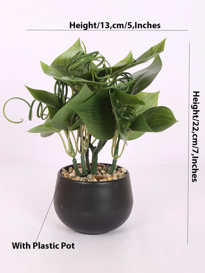 Artificial Beautiful Money Plants With Pot for (22 cm Tall, Dark/Green)