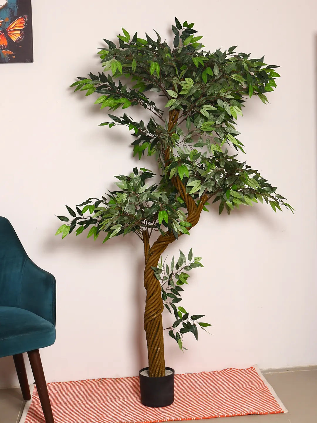 Artificial Midas Ruscus Lush Plant with Basic Black Pot - 6 Feet Tall