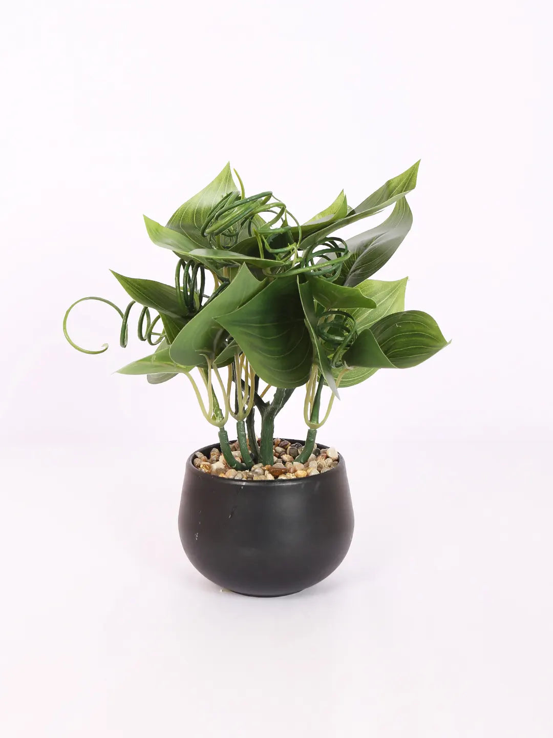 Artificial Beautiful Money Plants With Pot for (22 cm Tall, Dark/Green)