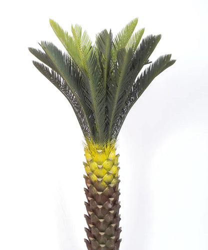 Artificial Cycus Plant with Long Leaves for with Basic Black Pot - 4.2 Feet Green