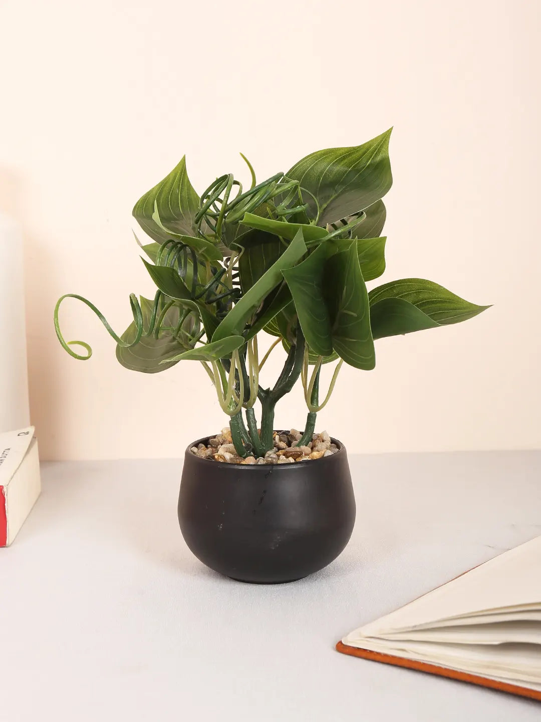 Artificial Beautiful Money Plants With Pot for (22 cm Tall, Dark/Green)