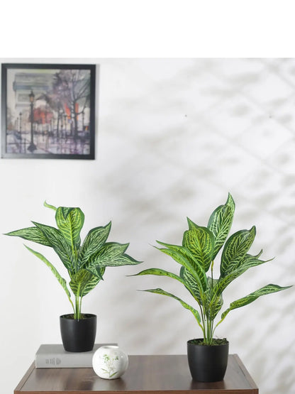 Artificial New Green Iceton Croton Plant (12 Leaves with Basic Black Pot 45 Cm Tall Pack of 2)