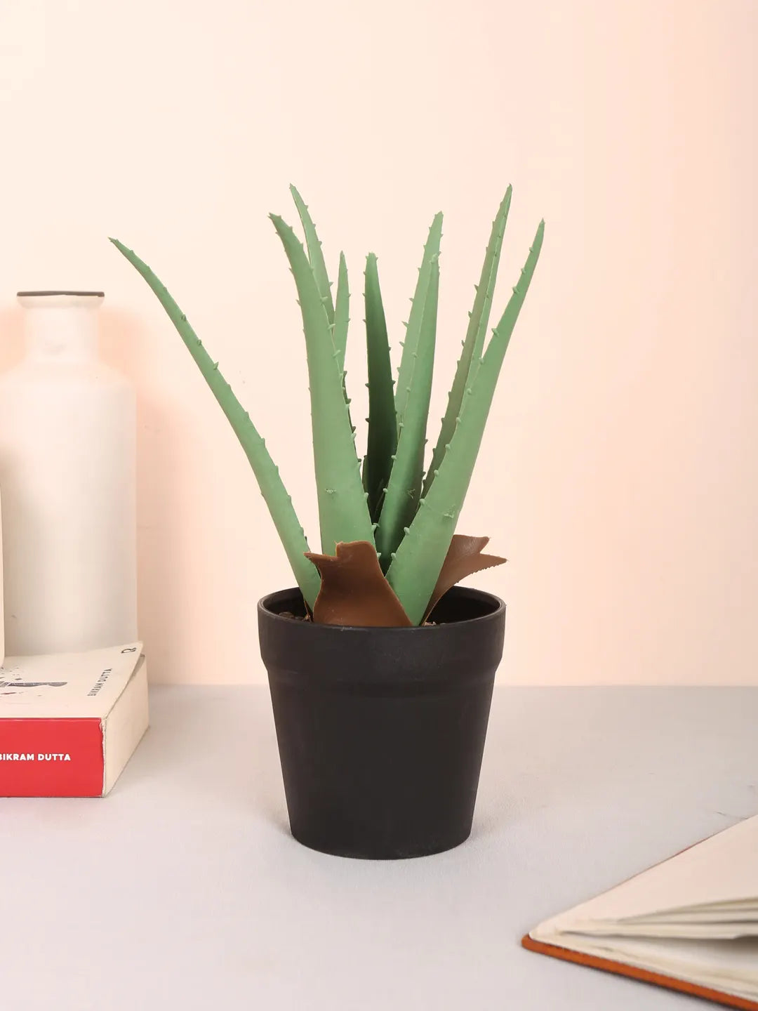Artificial Aloe Vera Plant with Black Plastic Pot (25 cm Tall, Green)