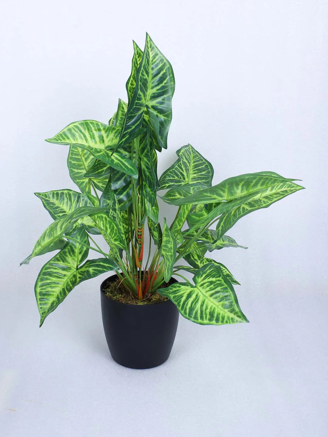 Artificial Miniature PVC Silk Caladium Leaf Green Floor Plant with Big Leaves with Pot (55 cm Tall, Green)