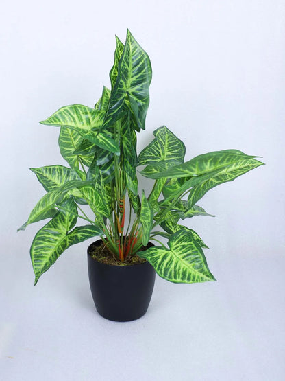Artificial Miniature PVC Silk Caladium Leaf Green Floor Plant with Big Leaves with Pot (55 cm Tall, Green)