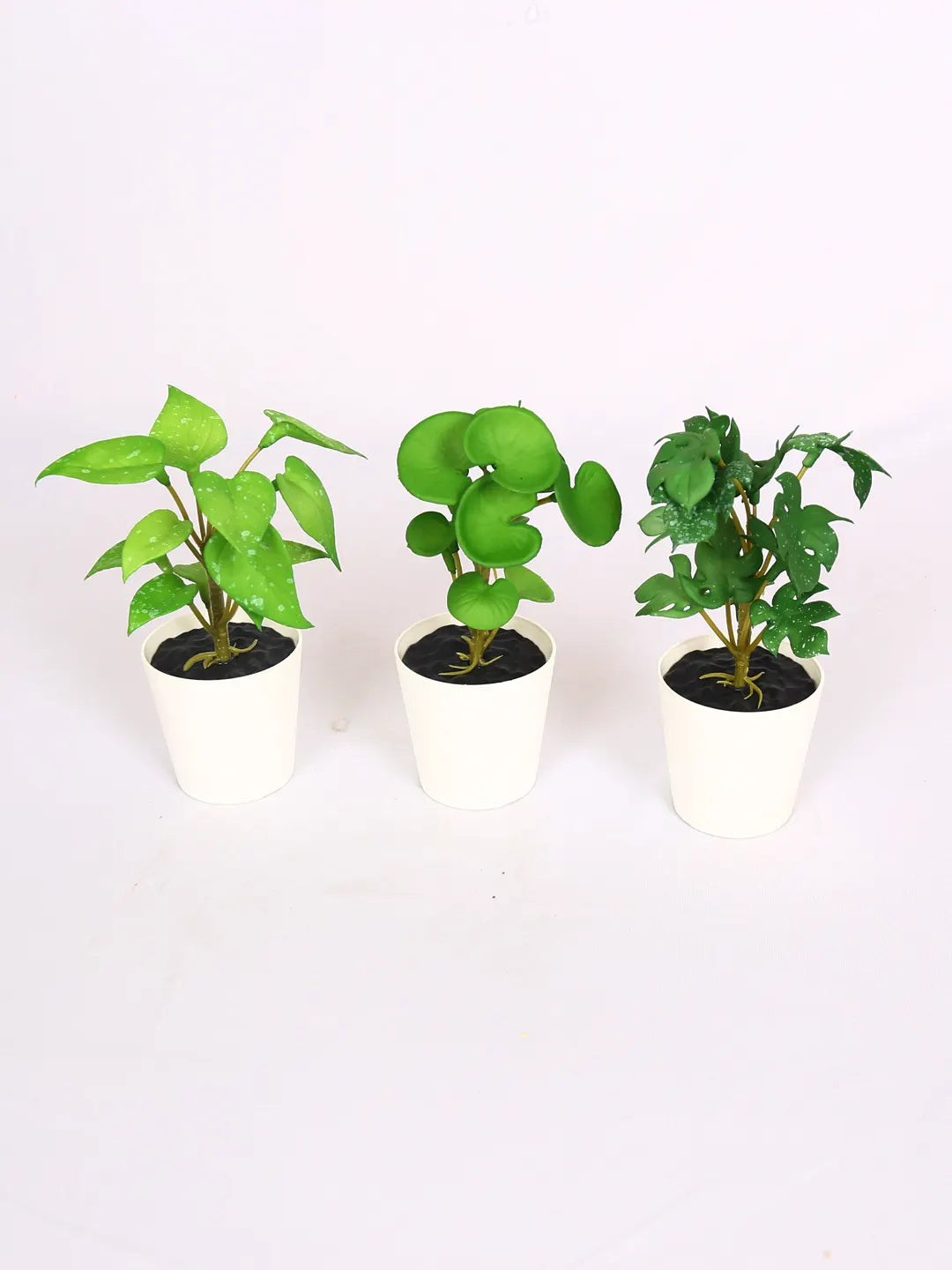 Artificial Decorative Tabletops Potted Succulent Plants (Pack of 3, 16 cm Tall)