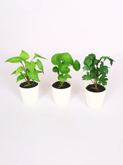 Artificial Decorative Tabletops Potted Succulent Plants (Pack of 3, 16 cm Tall)
