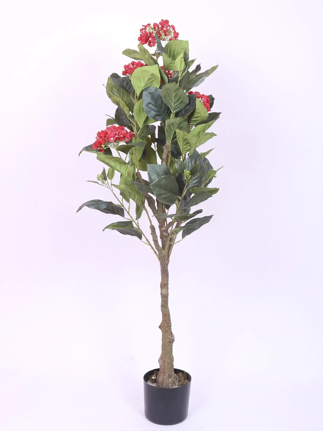 Artificial Hydrangea Bloom Plant with Basic Black Pot - 4.2 Feet Green/Red