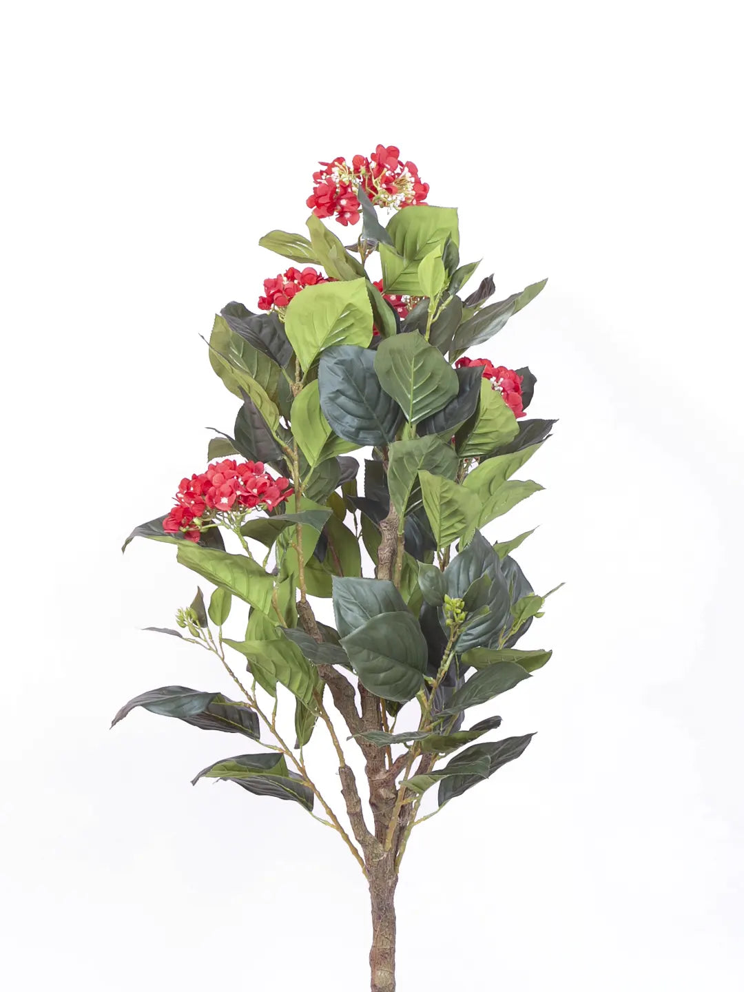 Artificial Hydrangea Bloom Plant with Basic Black Pot - 4.2 Feet Green/Red