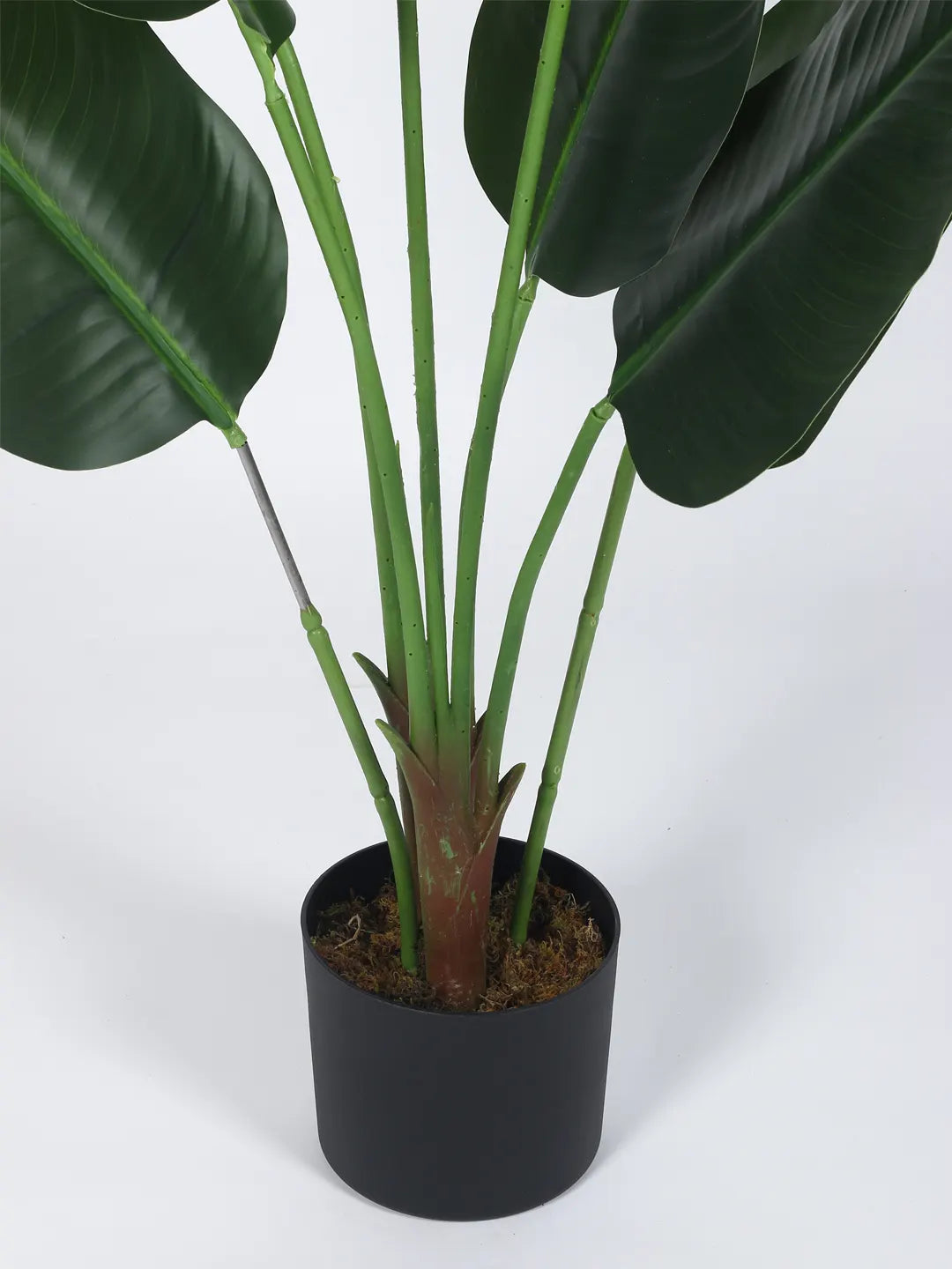 Artificial Cavendish Traveller Banana Plant  with Basic Black Pot - 4 feet Green