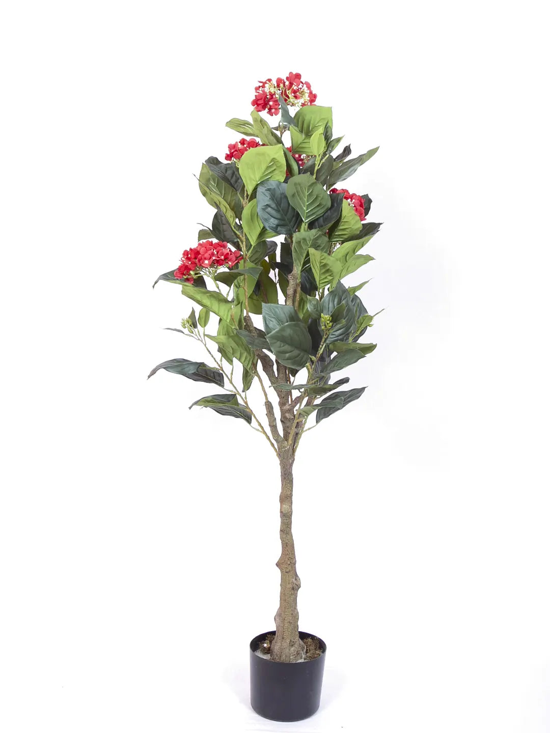 Artificial Hydrangea Bloom Plant with Basic Black Pot - 4.2 Feet Green/Red