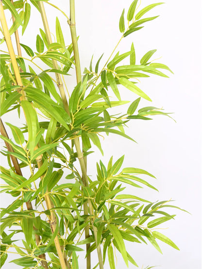 Artificial Bamboo Bliss Plant with Basic Black Pot - 6 feet Green