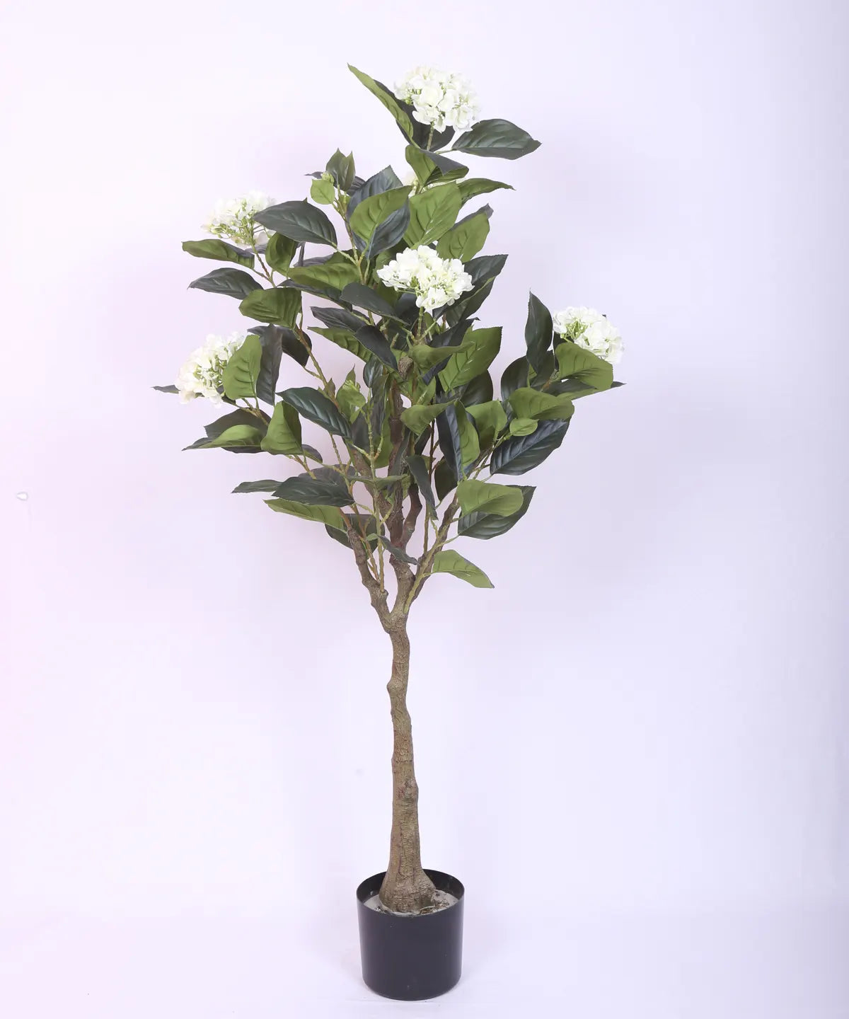 Artificial Hydrangea Bloom Plant with Basic Black Pot - 4.2 Feet Green/White