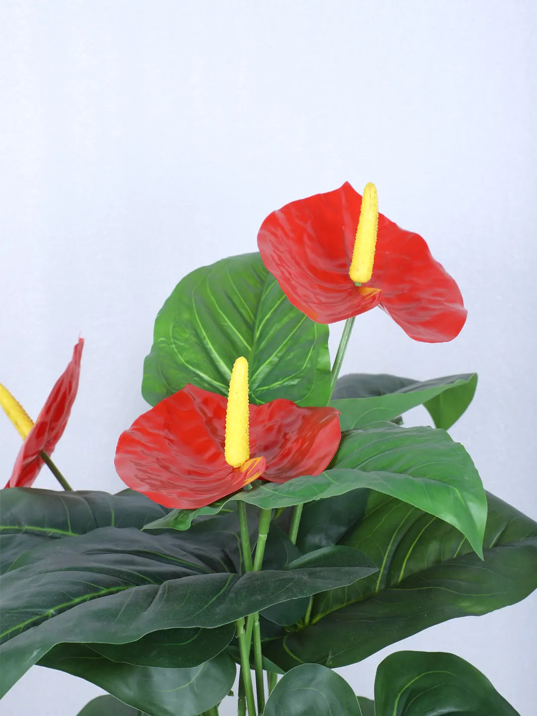 Artificial Anthurium Leaf Plants for with Pot (18 Leaves, 65 cm Tall, Red/Green)