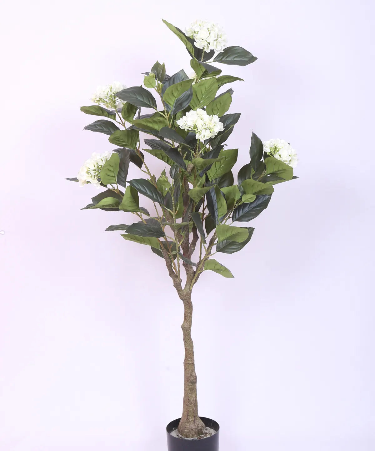 Artificial Hydrangea Bloom Plant with Basic Black Pot - 4.2 Feet Green/White