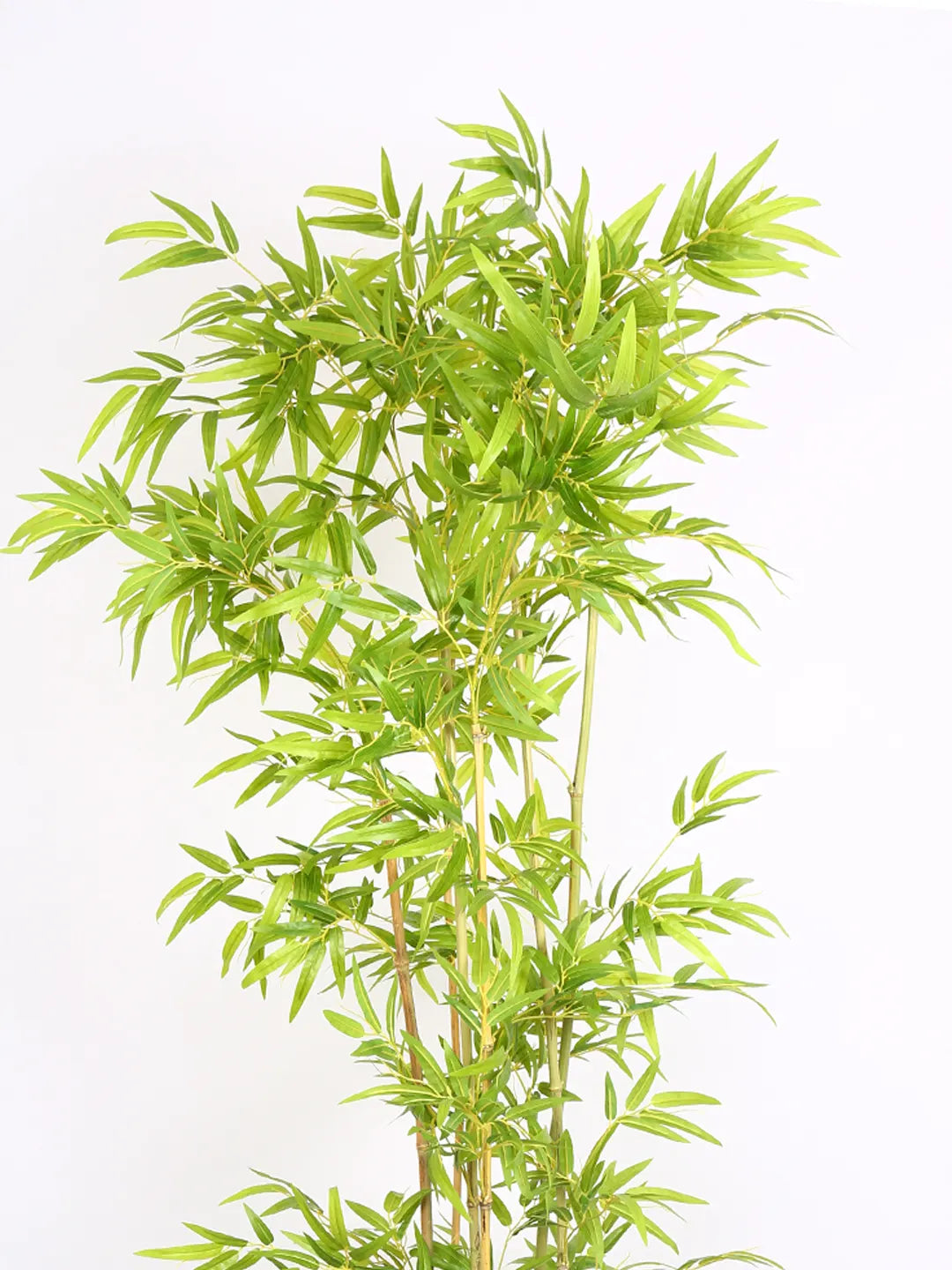 Artificial Bamboo Bliss Plant with Basic Black Pot - 6 feet Green