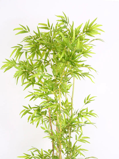 Artificial Bamboo Bliss Plant with Basic Black Pot - 6 feet Green