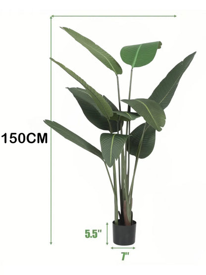 Artificial Cavendish Traveller Plant with Basic Black Pot - 5 Feet Tall, Dark Green Leaves