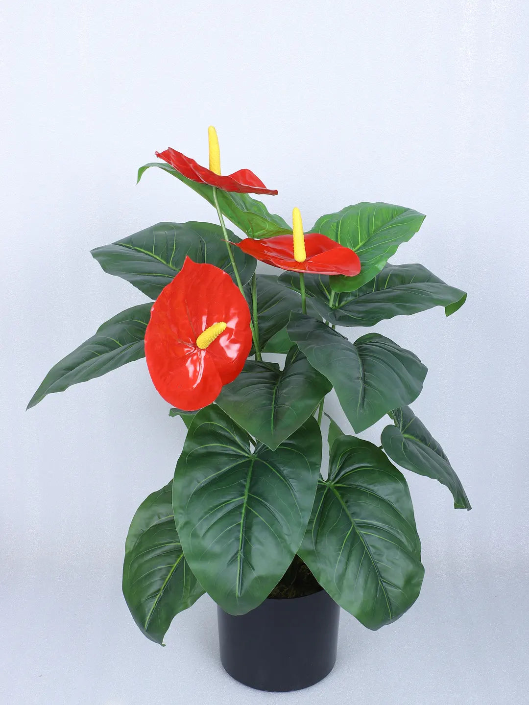 Artificial Anthurium Leaf Plants for with Pot (18 Leaves, 65 cm Tall, Red/Green)