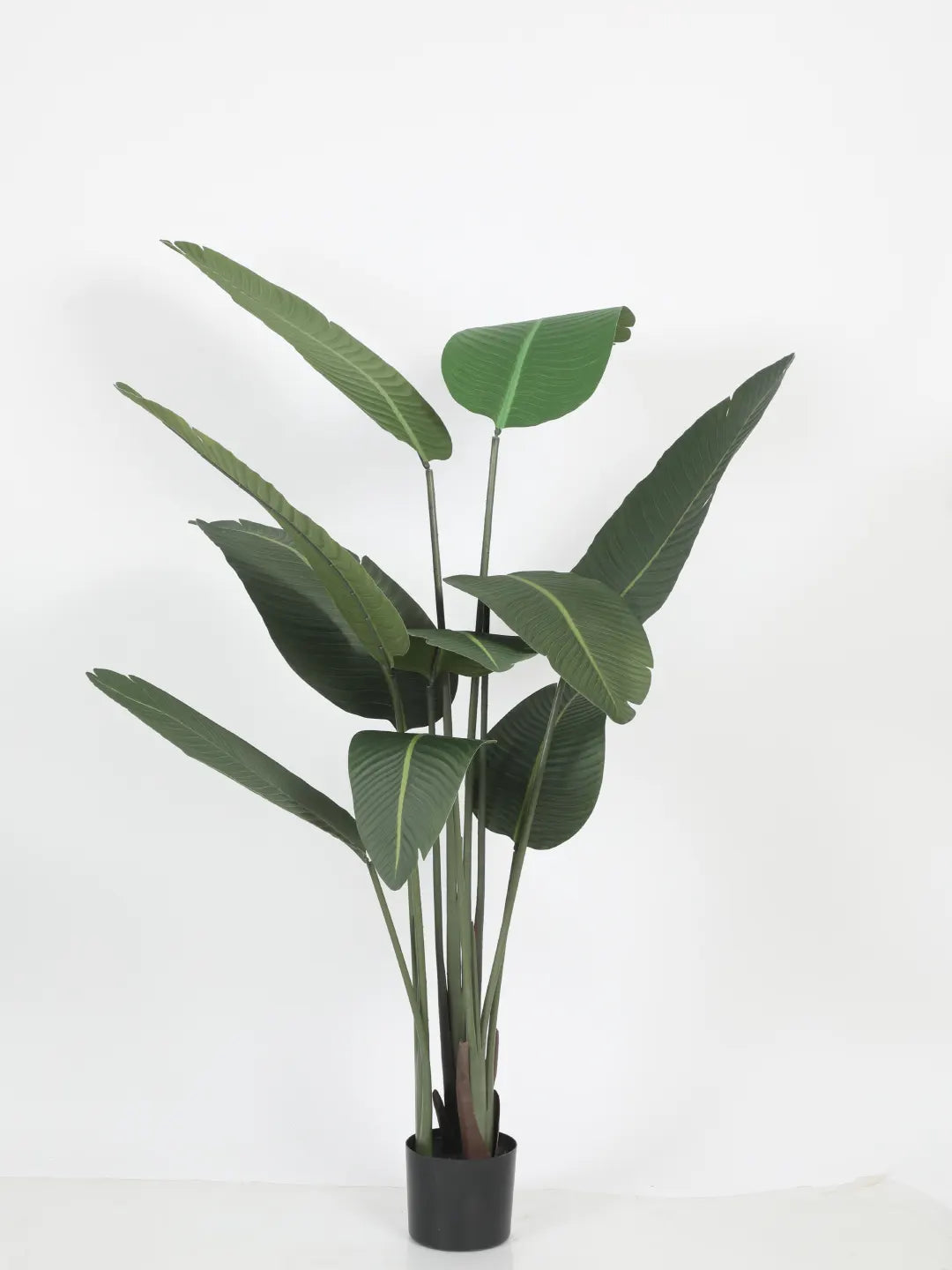 Artificial Cavendish Traveller Plant with Basic Black Pot - 5 Feet Tall, Dark Green Leaves