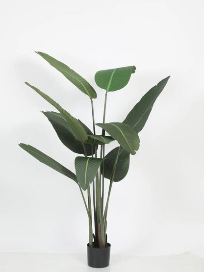 Artificial Cavendish Traveller Plant with Basic Black Pot - 5 Feet Tall, Dark Green Leaves