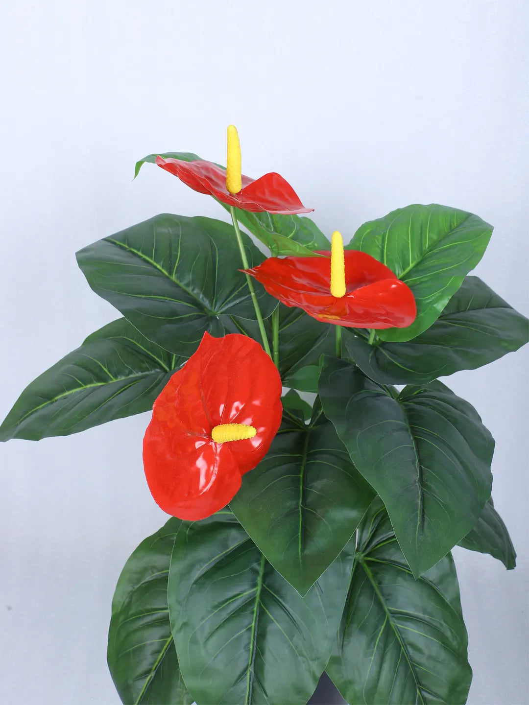 Artificial Anthurium Leaf Plants for with Pot (18 Leaves, 65 cm Tall, Red/Green)