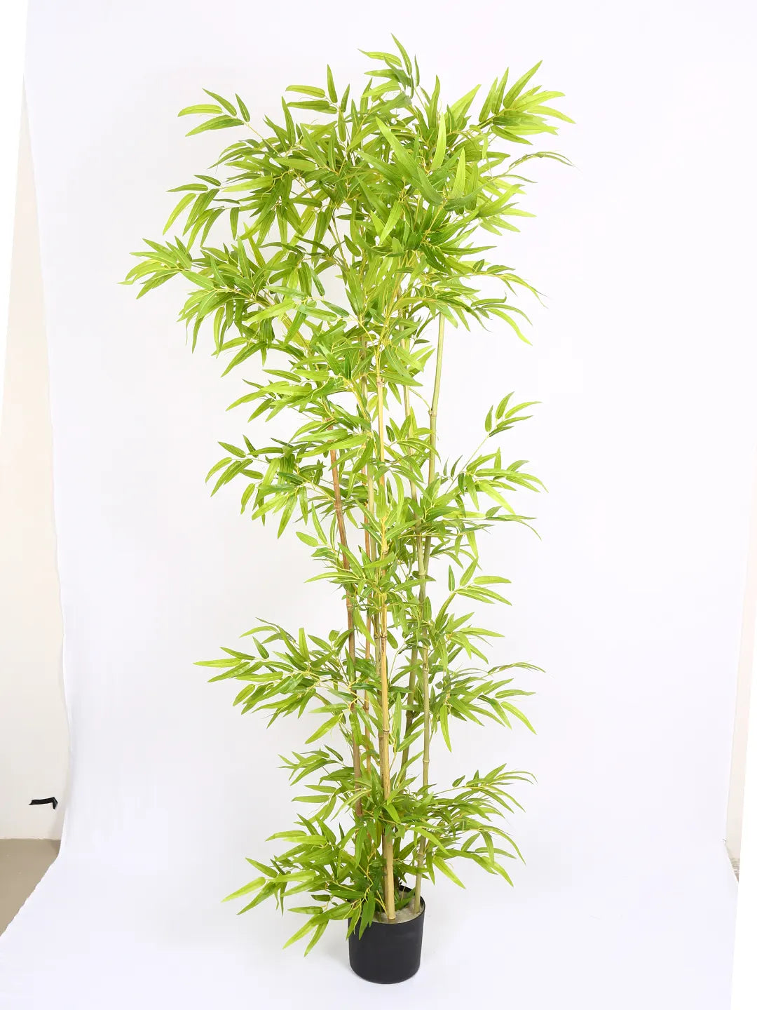 Artificial Bamboo Bliss Plant with Basic Black Pot - 6 feet Green