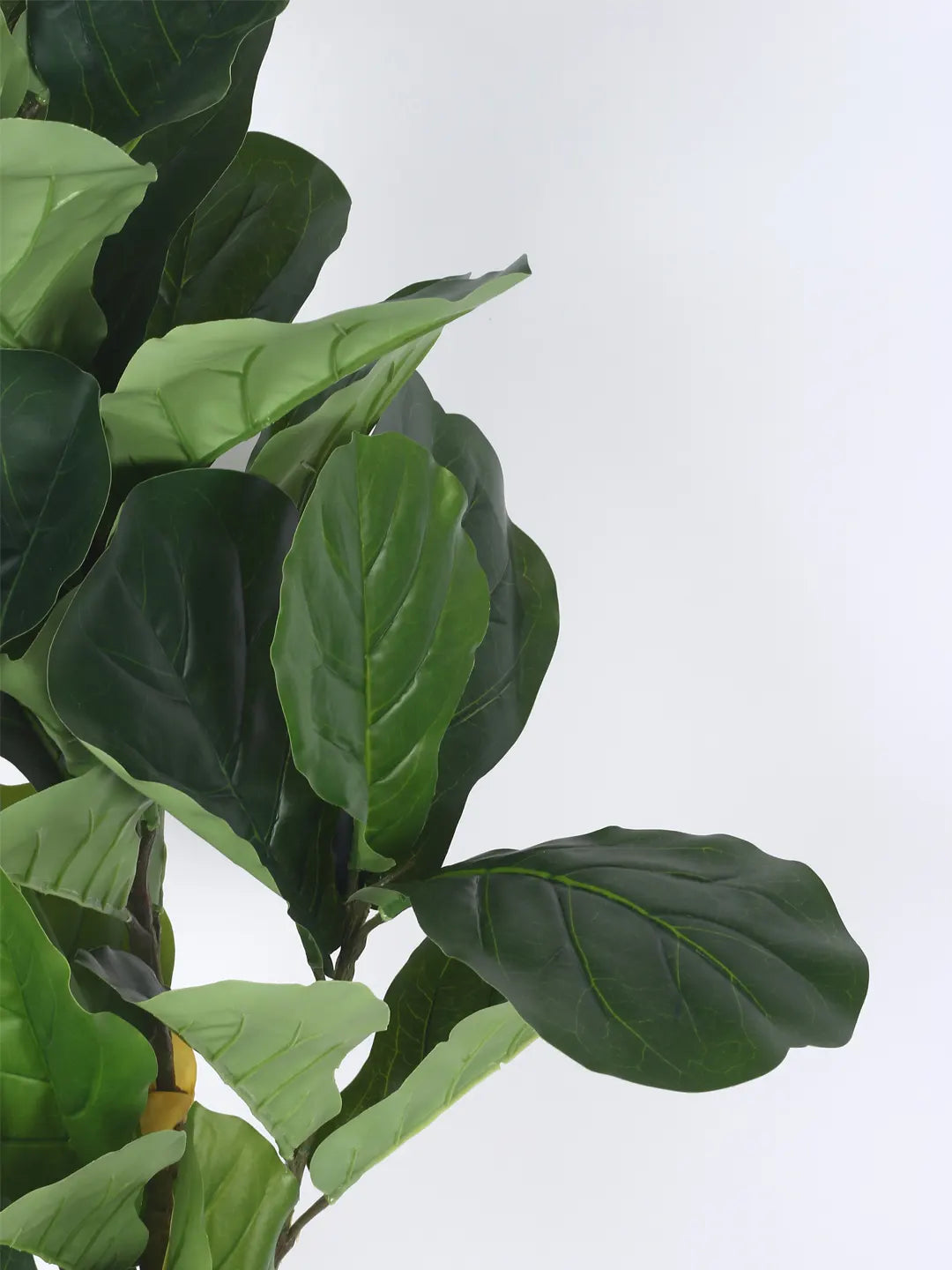 Artificial Serene Fiddle Plant with Basic Black Pot - 4 feet Green