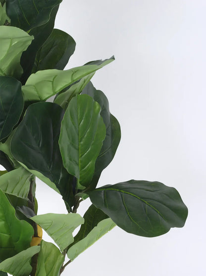 Artificial Serene Fiddle Plant with Basic Black Pot - 4 feet Green