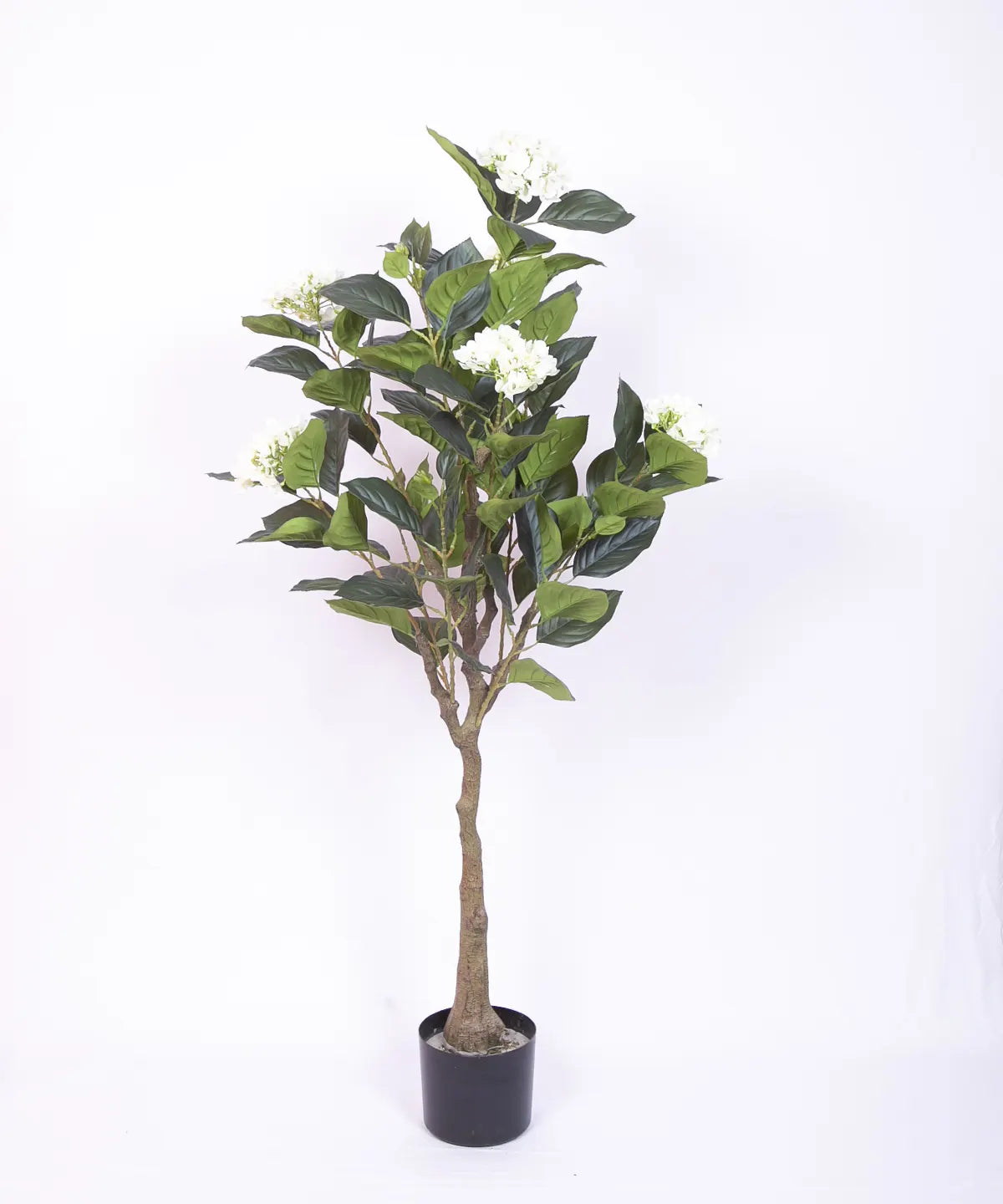 Artificial Hydrangea Bloom Plant with Basic Black Pot - 4.2 Feet Green/White