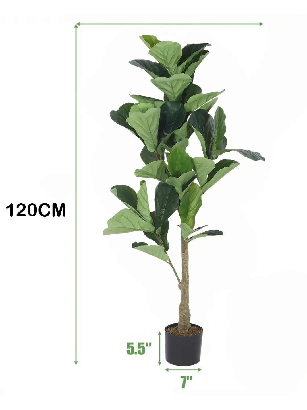 Artificial Serene Fiddle Plant with Basic Black Pot - 4 feet Green