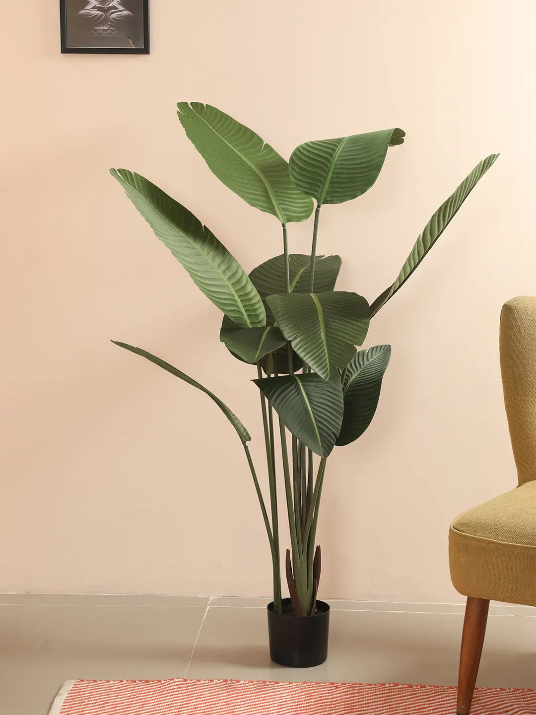 Artificial Cavendish Traveller Plant with Basic Black Pot - 5 Feet Tall, Dark Green Leaves