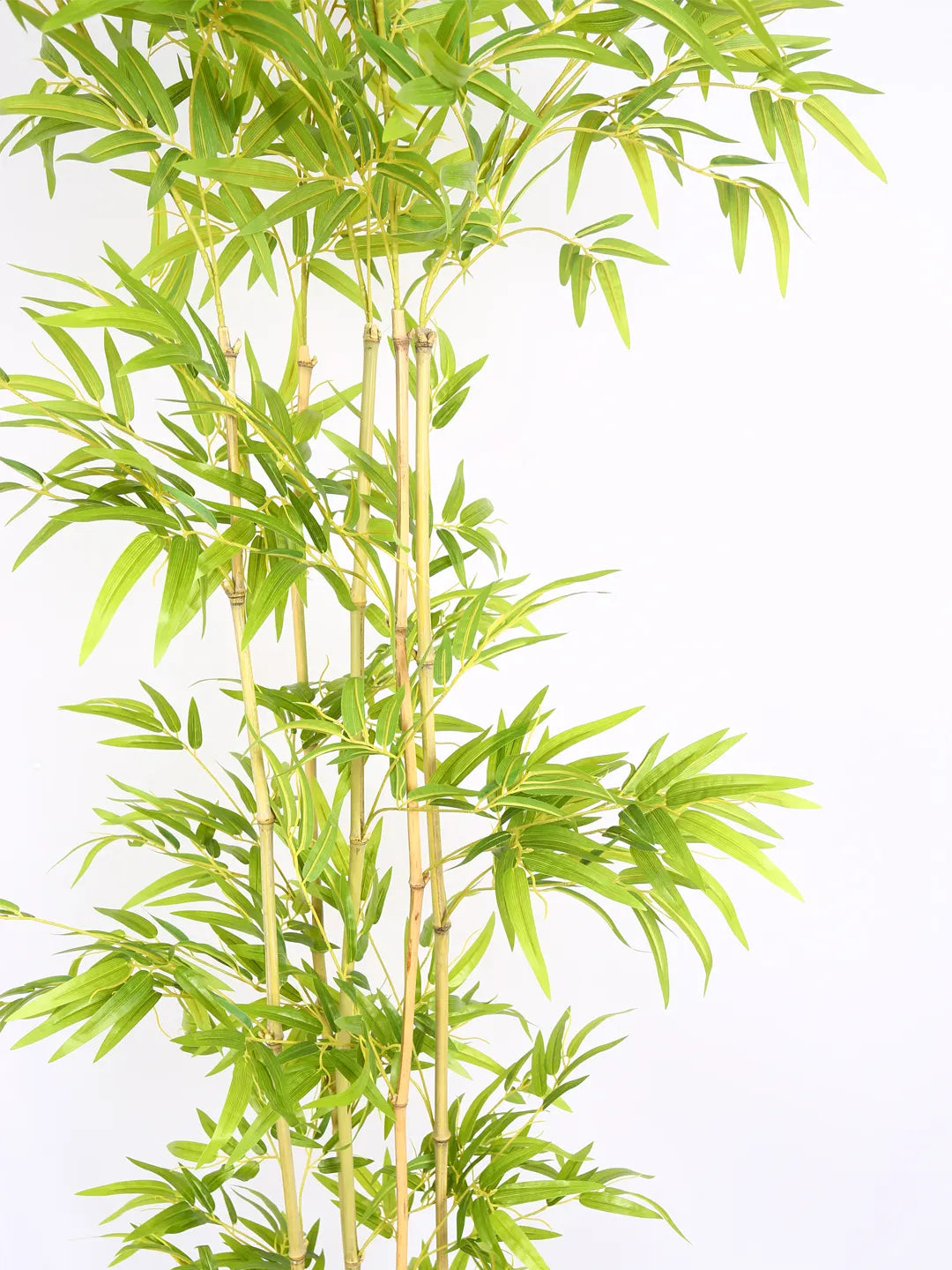 Artificial Bamboo Bliss Plant with Basic Black Pot - 190 cm Tall Green