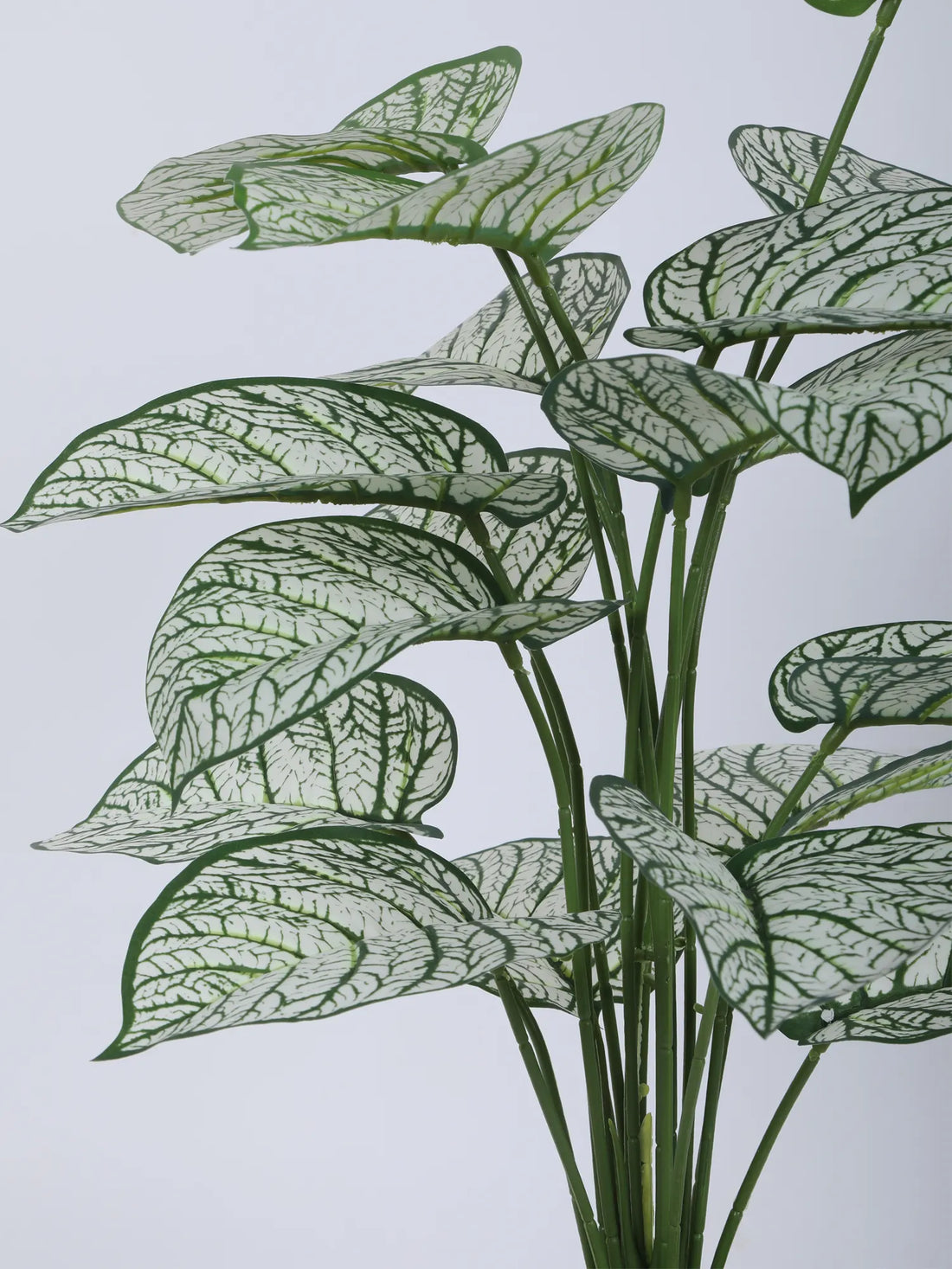 Artificial Caladium Leaf Plants for with Pot (18 Leaves, 65 cm Tall. Green/White)