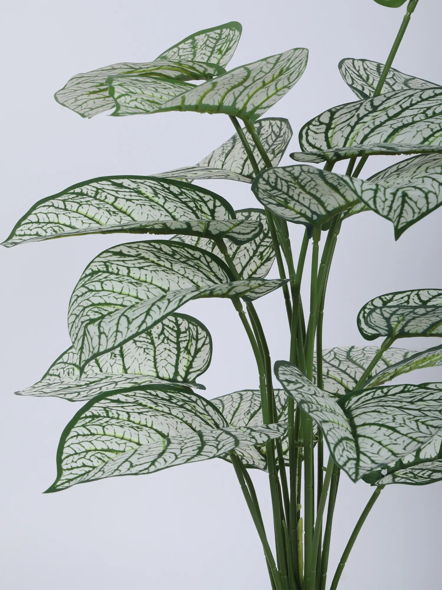Artificial Caladium Leaf Plants for with Pot (18 Leaves, 65 cm Tall. Green/White)
