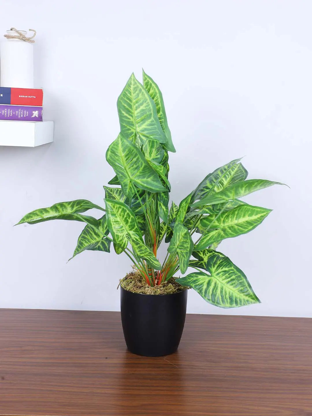 Artificial Miniature PVC Silk Caladium Leaf Green Floor Plant with Big Leaves with Pot (55 cm Tall, Green)