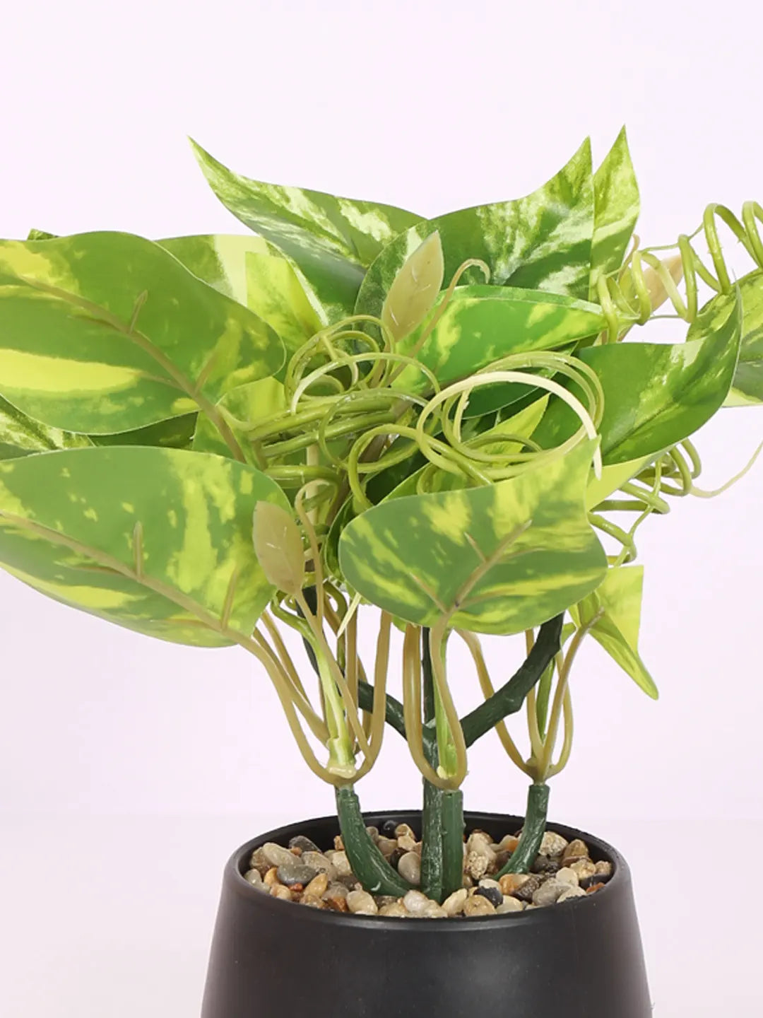 Artificial Beautiful Money Plants With Pot for (22 cm Tall, Green/Yellow)