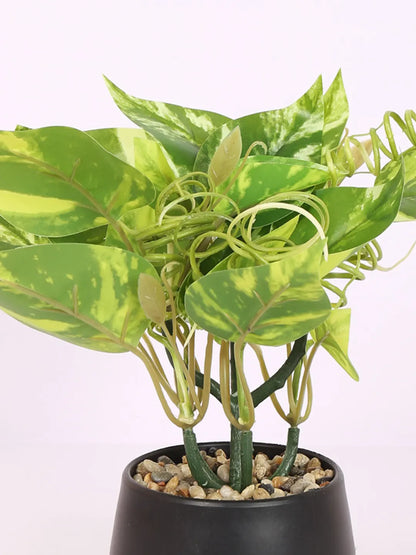 Artificial Beautiful Money Plants With Pot for (22 cm Tall, Green/Yellow)