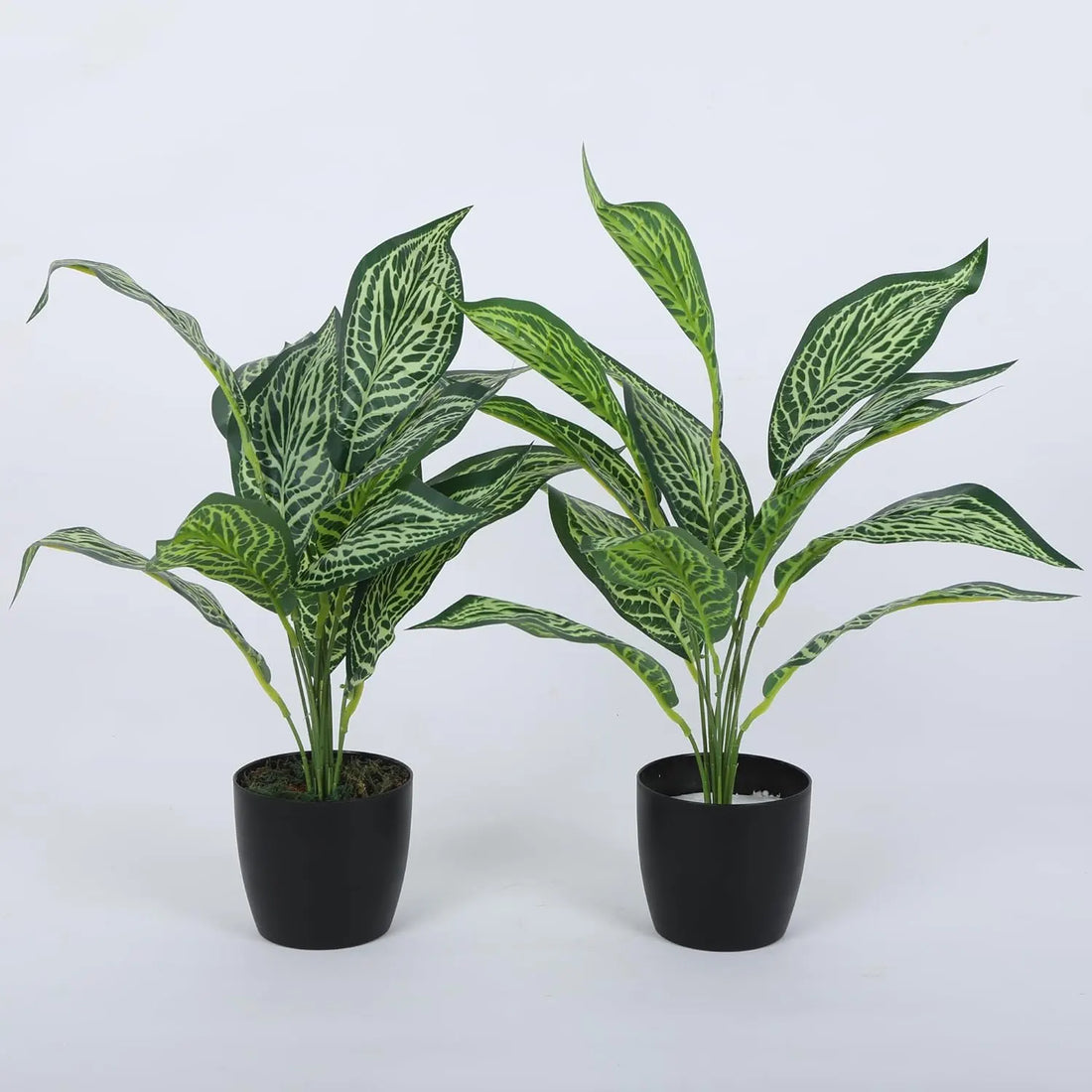 Artificial New Green Iceton Croton Plant (12 Leaves with Basic Black Pot 45 Cm Tall Pack of 2)