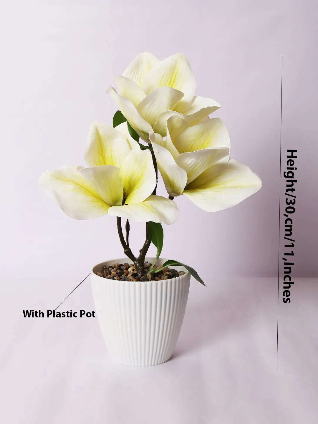 Artificial Real Touch Magnolia Flower With Pot (30 cm Tall, White)