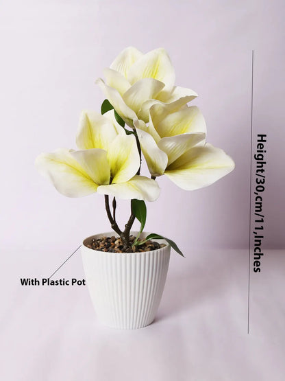 Artificial Real Touch Magnolia Flower With Pot (30 cm Tall, White)