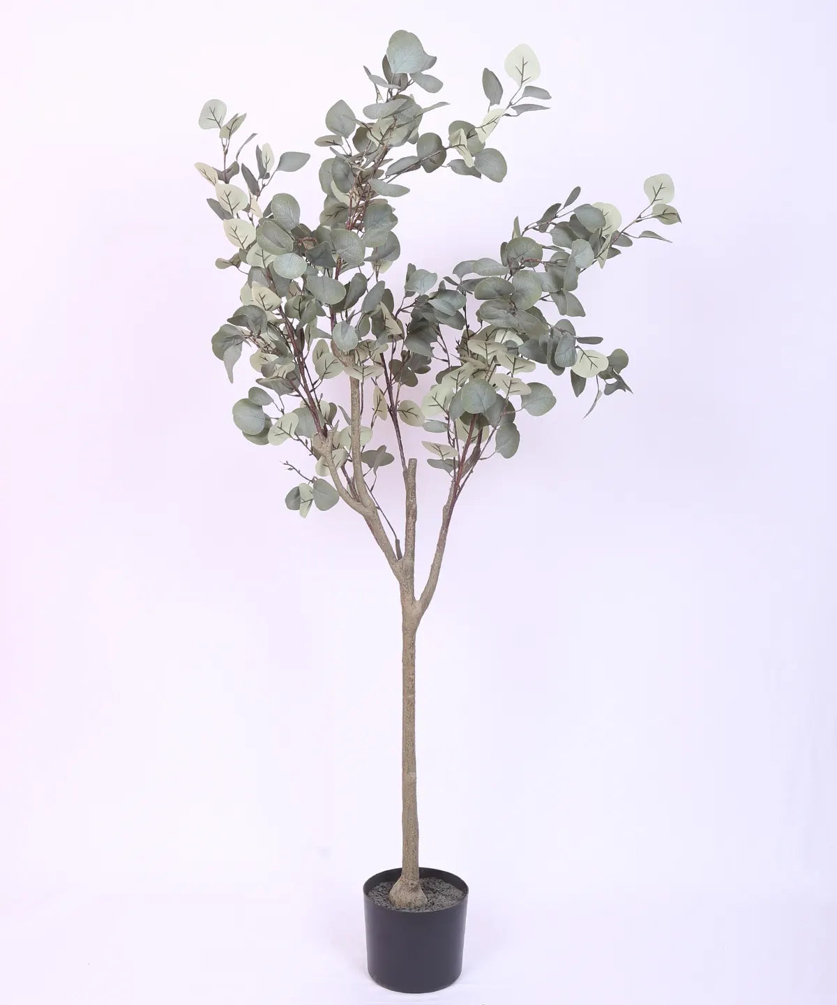 Artificial Eucalyptus potted plant, outdoor and indoor (140 cm Tall, Green)