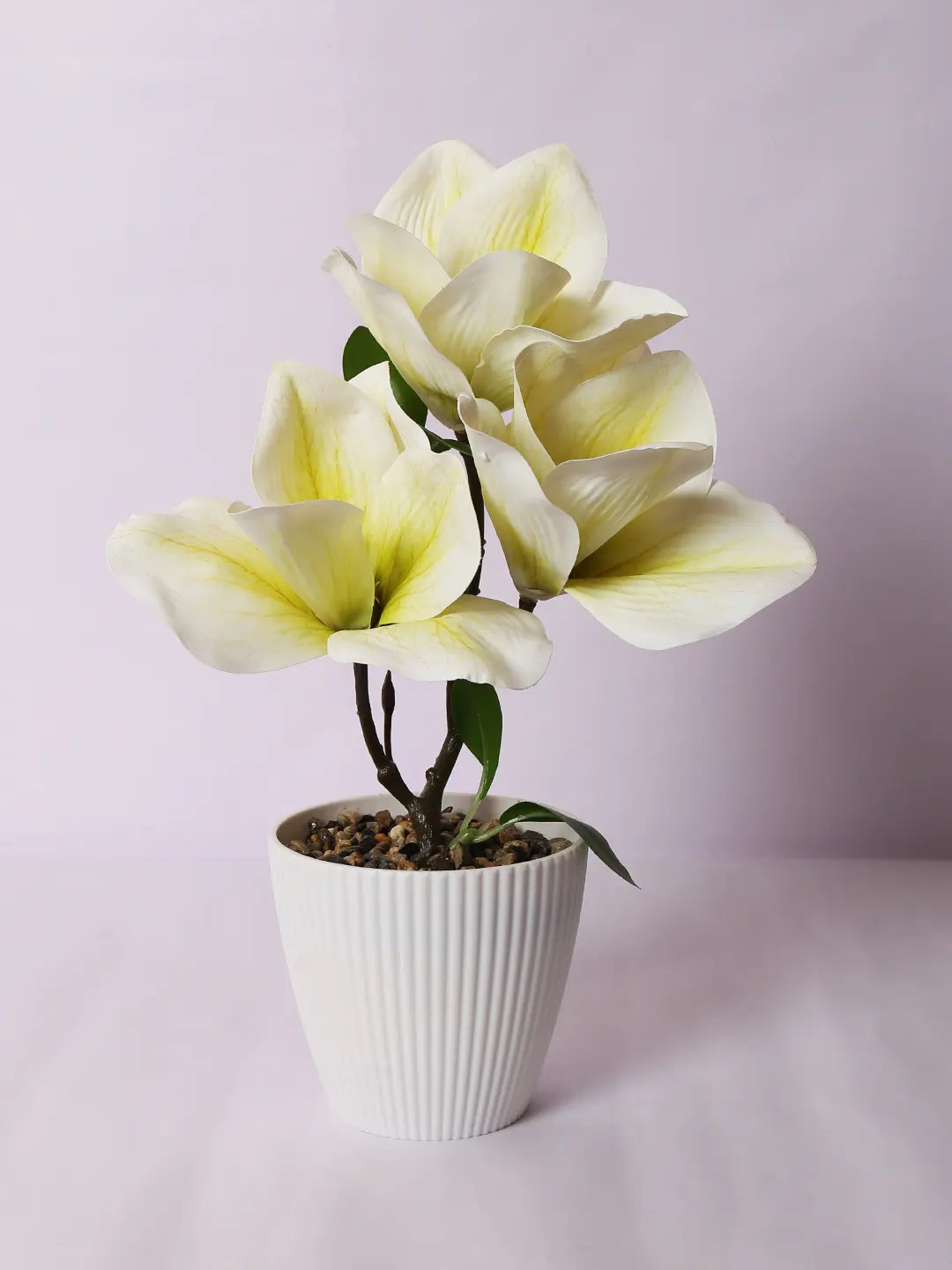 Artificial Real Touch Magnolia Flower With Pot (30 cm Tall, White)