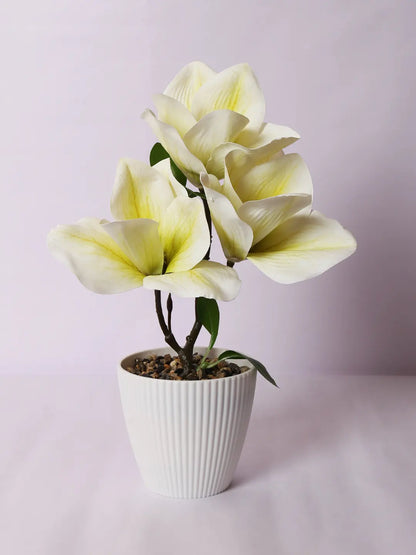 Artificial Real Touch Magnolia Flower With Pot (30 cm Tall, White)