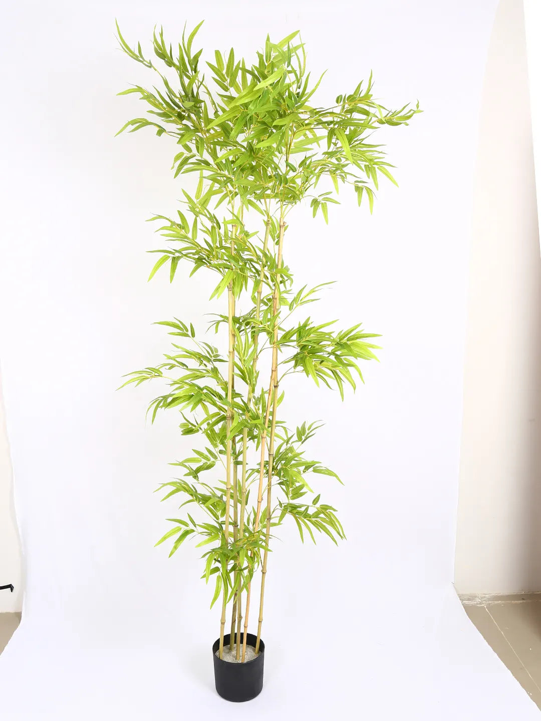 Artificial Bamboo Bliss Plant with Basic Black Pot - 190 cm Tall Green