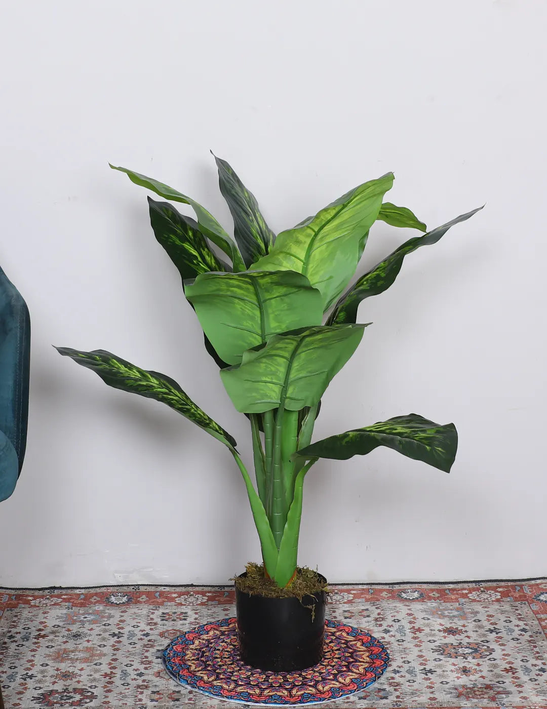 Artificial Dieffenbachia Plant with Basic Black Pot – 95 cm Tall, Green
