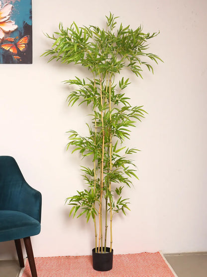 Artificial Bamboo Bliss Plant with Basic Black Pot - 190 cm Tall Green